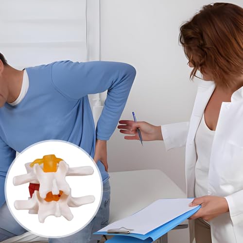 NLShan Human Anatomical Lumbar Disc Herniation Model, Portable Herniated Lumbar Vertebrae Disc, 1.5 Times Life Size Lumbar Spine Model for Learning, Teaching and Demonstrating