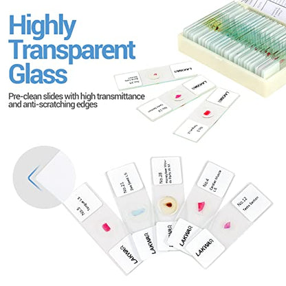30 Microscope Slides with Specimens for Kids, Prepared Microscope Slides for Kids Microbiology, Glass Slides for Microscope, Biology Gifts for Adults Kids - size: 30pcs