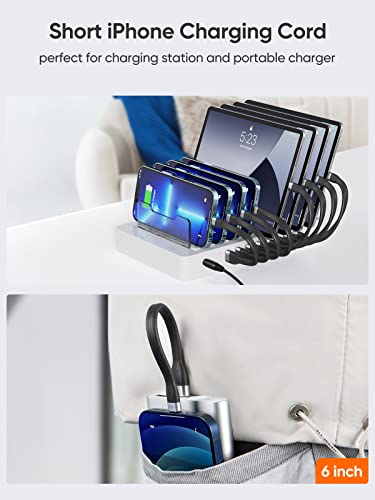 CableCreation iPhone Charging Cable, 15cm USB to Lightning Charging Cord - color: black