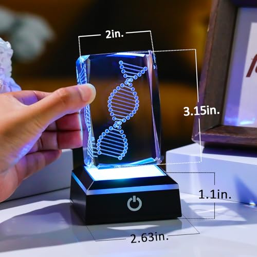Movdyka 3D Crystal DNA Model Helix Desk Decor Night Light Gift for Teachers - color: Dna