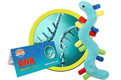 GIANT MICROBES RNA Plush, Genetics Gift, DNA Gifts, Genealogy, Ancestry Gift, Biology Plushies, Genetic Counselor, Forensic Science Gifts, Biology Models