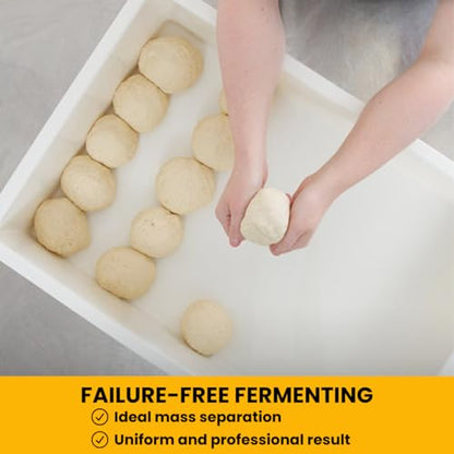 L'Oro Del Sud Commercial Dough Proofing Box Tray with Lid, White, 5 Pack - size: 5 Pack