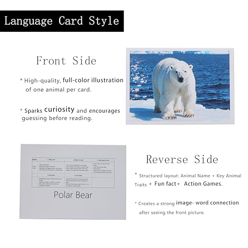 Thematic Animal X-Rays, Set of 16, Simulation Specimen, Science Education Materials for Kindergarten & Preschool, Light Table Accessories, Montessori & Reggio-Inspired (Arctic Animals) - color: Arctic Animals