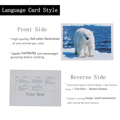 Thematic Animal X-Rays, Set of 16, Simulation Specimen, Science Education Materials for Kindergarten & Preschool, Light Table Accessories, Montessori & Reggio-Inspired (Arctic Animals) - color: Arctic Animals