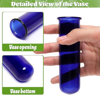 Glass Plant Propagation Station with 5 Test Tubes Colorful Planter Vase - color: Blue