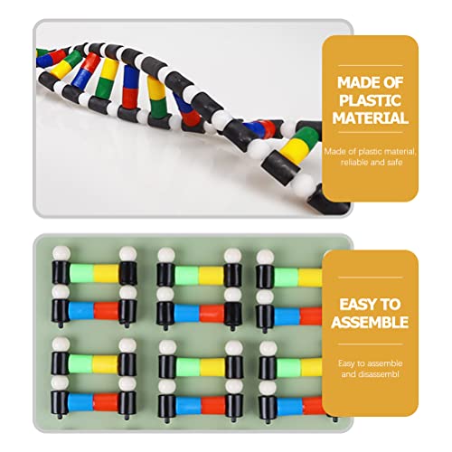 iplusmile DNA Double Helix Structure Models Kit Biological Science Popularization Teaching Aid for DNA Assembling, Educational Learning for School Student