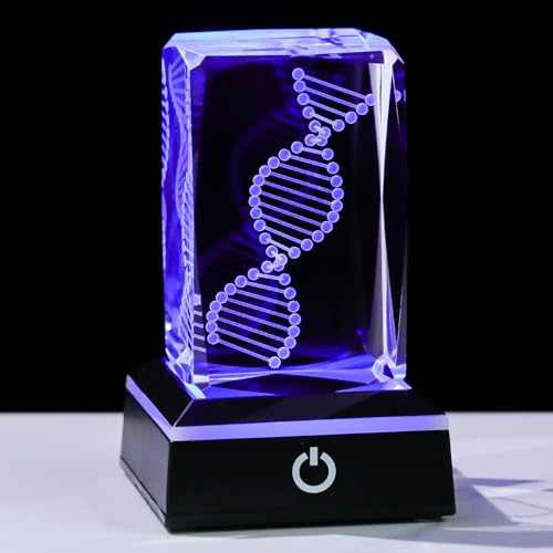 Movdyka 3D Crystal DNA Model Helix Desk Decor Night Light Gift for Teachers - color: Dna
