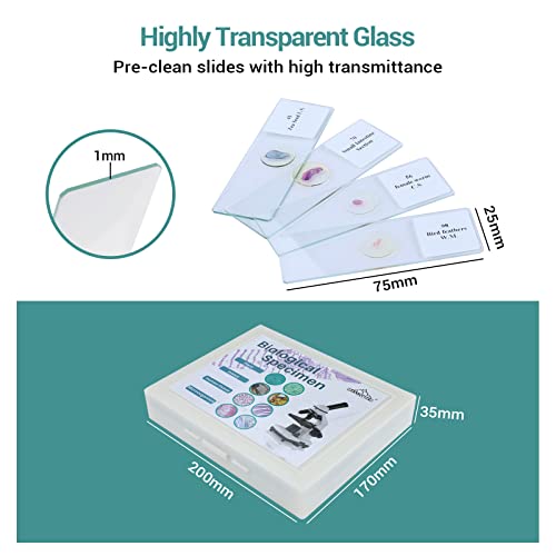 100Pcs Prepared Microscope Slides with Specimens for Kids Science Learning