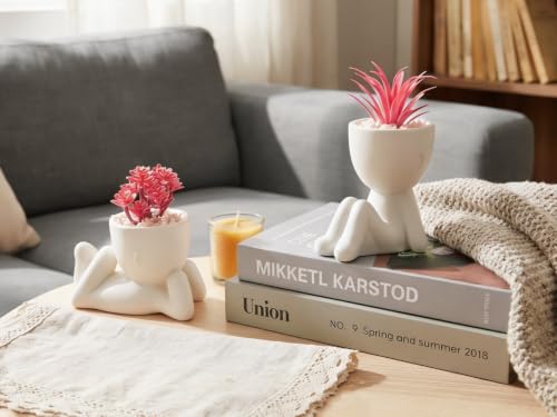 Small Fake Plant Office Decor for Women - Pink Gifts for Women - Cute Office Decor - Pink Decor for Office Decorations - Succulents Fake Plants for Shelf Decor - Office Supplies - size: (A) White with Pink