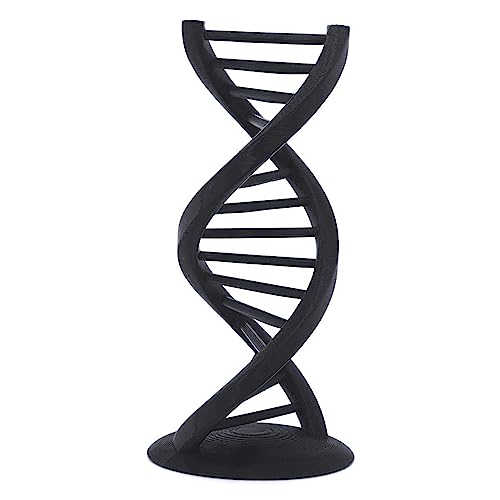 EnderToys DNA Double Helix Statue - 6 Inches Tall - Science Decor Gift - Desk Toy Sculpture - 3D Printed
