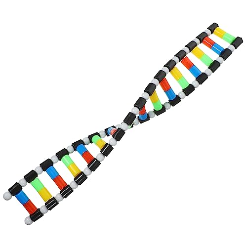 Generic DNA Model Double Helix Model Removable Molecular Kit for Science Class Biology Classroom Display Science Models for Students and Learning