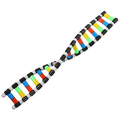 Generic DNA Model Double Helix Model Removable Molecular Kit for Science Class Biology Classroom Display Science Models for Students and Learning