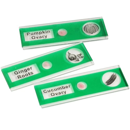 Prepared Microscope Slides for Kids – 24 Plastic Plant & Vegetable Specimens with Labels & Images – Safe, Durable Biology Science Kit for Students Ages 8+ - size: Plant & Vegetable -24 pc