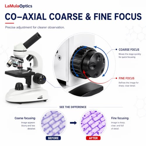 Microscope for Adults Students, 40X-2000X Microscopes, Metal-Structure Dual LED Illumination, Biological Compound Monocular Microscope Kit for School Lab, Homeschool w/Carrying Bag