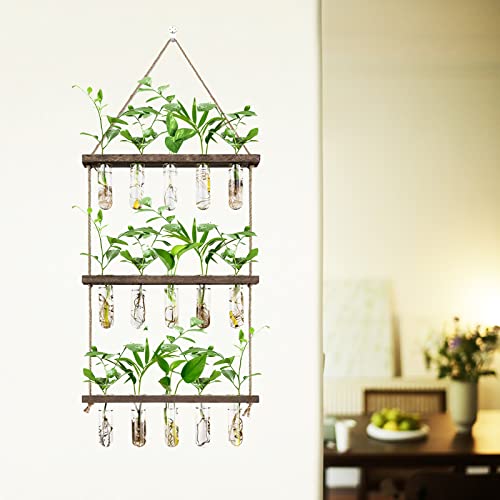 XXXFLOWER Wooden Stand with Test Tube Propagation Station Rack Desktop Hydroponics Terrarium Wall Terrarium for Home Office Plant Hanger Flower Vases Wall Decor Hydroponic Cuttings