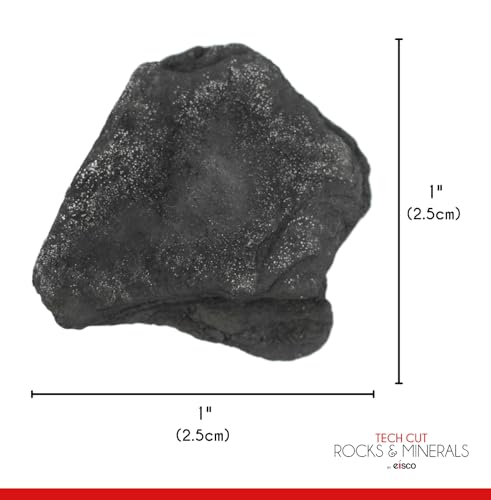 EISCO 12PK Raw Anthracite Coal, Metamorphic Rock Specimens - Approx. 1" - Geologist Selected & Hand Processed - Great for Science Classrooms - Class Pack