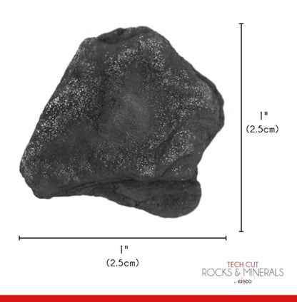 EISCO 12PK Raw Anthracite Coal, Metamorphic Rock Specimens - Approx. 1" - Geologist Selected & Hand Processed - Great for Science Classrooms - Class Pack
