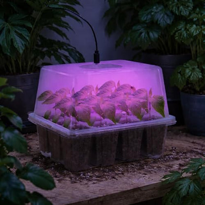 Bonviee Seed Starter Trays with 12-LED Grow Lights, Clear, 5 Pack - color: Clear, size: 5 Packs