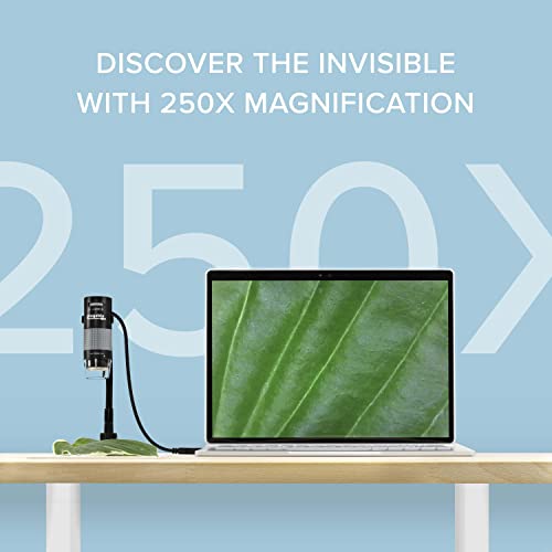 Plugable USB Digital Microscope 250x, 2MP Micro Camera with Flexible Arm Stand - Handheld USB & USB-C Microscope, Windows, Mac, ChromeOS, Linux, Android, iPad Compatible (Pack of 2) - size: 250X Magnification (Pack of 2)