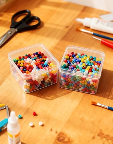 LJY 20 Clear Square Plastic Boxes, 2.6 x 2.6 x 1.4 in for Fishing Tackle - color: Clear, size: 2.6×2.6×1.4 in