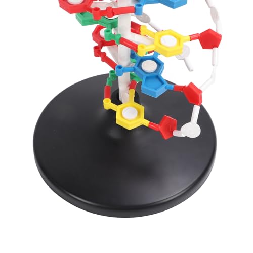 DNA Structure Model Plastic Educational DNA Model Teaching Equipment