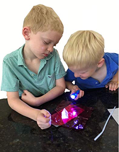Young Scientists Series - Bones & Muscles, The Senses and Light - style: Set 7