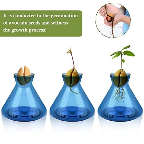 1 PCS Avocado Seed Starter Vases, Avocado Tree Growing Kit Acorn Bulb Vase Grow Glass Avocados Pit Planter Pot Blue Hydroponics Container for Gardening Lover - color: Blue-1pcs, size: 1.96*4.1*3.7inch