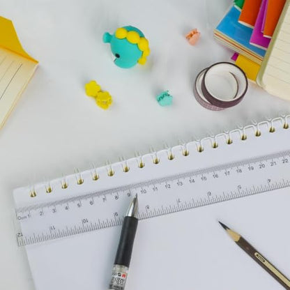30 Pack Clear Rulers for Classroom, Bulk 12 Inch Ruler Set for Students
