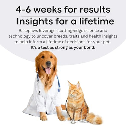 Basepaws Cat DNA Test Kit, Breed, Health & Dental Insights (Pack of 2) - size: 2 Count (Pack of 1)