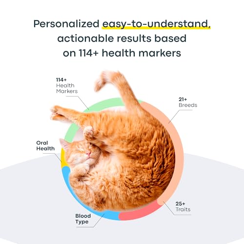 Basepaws Cat DNA Test Kit, Breed, Health & Dental Insights (Pack of 2) - size: 2 Count (Pack of 1)