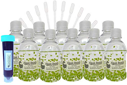Algae Research and Supply: Live Algae Beads (200 Count) Science Kit for Classroom Photosynthesis and Respiration Experiments - style: 200-Algae Beads Only