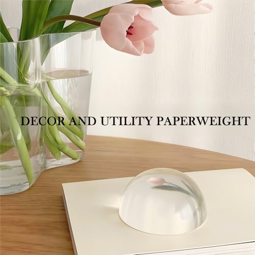 6PCS 2.36in Crystal Magnifying Glass Dome Paper Weights Small Magnifying Glass for Reading Books Aid Optical Half Ball Magnifier for Physics Classroom Paperweight for Home Decor