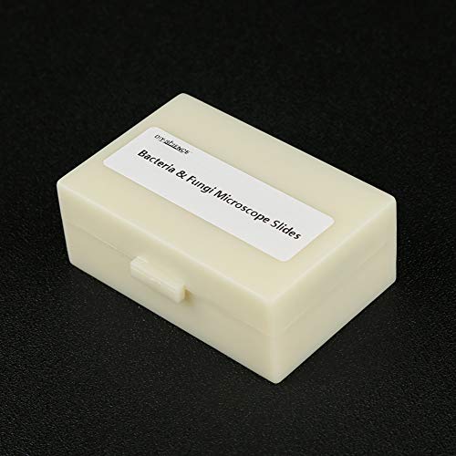 Prepared Bacteria and Fungi Microscope Slide Set, 9pcs Slides for Biology Teacher Students Micro Organisms Science Education - color: Bacteria & Fungi