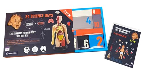 2026 Einstein Human Body Science Advent Calendar. Includes Original STEM Experiments, a 12-inch Model with 16 Detachable Organs, a Printed Guide and factbook, Plus Daily Step-by-Step Videos