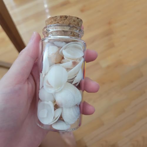 4 pcs 120ml Small Glass Bottles with Cork Stopper,Graduation Gifts,Decorative Bottle,Vials Jars,Cute Storage Jar,Wishing Bottle 47x90mm(1.85x3.55inch) - size: 47x90mm(1.85x3.55inch)