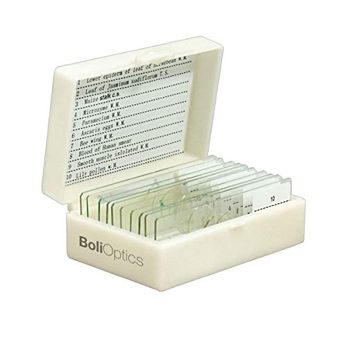 BoliOptics 10 Prepared Microscope Slides General Biology Specimen Set Plant Animal Human Anatomy Cells for Students Hobbyists Beginners Kids Homeschool, SL39901003