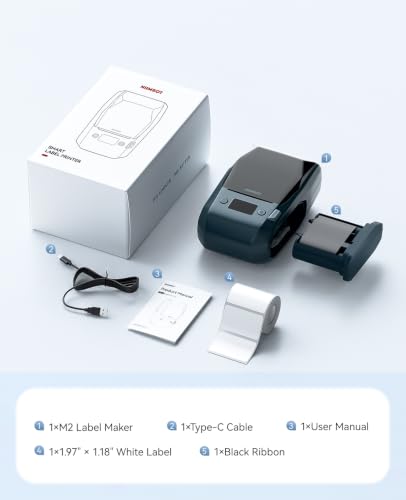 NIIMBOT M2 300 DPI Thermal Transfer Label Maker, Blue