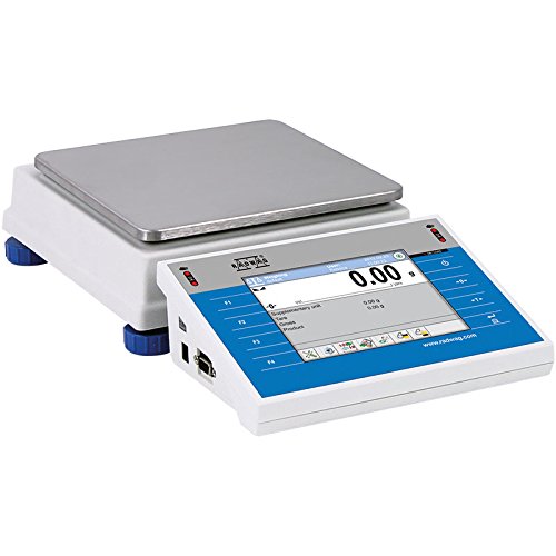 WLY 6/D2 Precision Balance 6 kg x 0.01 g - size: 6kg x 0.1g, style: Professional