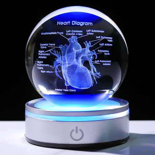 3D Heart Model Crystal Ball Doctors Gift, Cardiologist Gift for Men and Women with Colorful LED Base, Medical Statue for Psychology Graduation, Christmas Heart Anatomy Art Decor - color: Heart