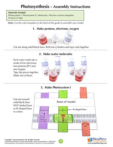 NewPath Learning Photosynthesis & Light Reactions 3-D Paper Model Making Kit, Set/5 Full-Color, Paper Model Templates & Teacher Guide (24-7728)