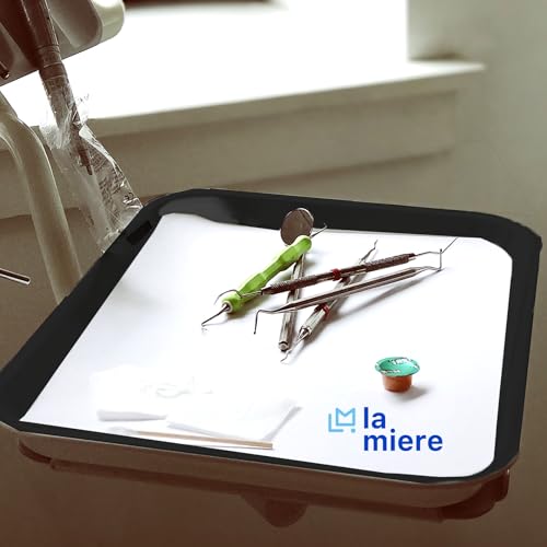 LA MIERE 8Pcs Autoclavable Dental Procedure Tray Lockable Set up Flat Trays Size B (Ritter),Plastic Instrument B-Lok Flat Trays, 13.25 x 9.75X 0.875 Inches (8, Black) - color: Black, size: 8