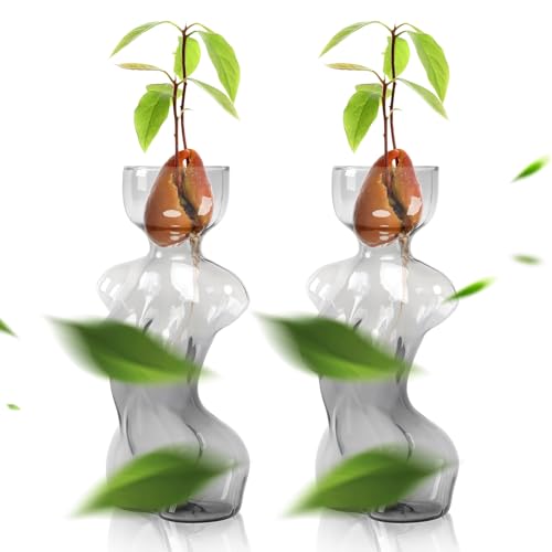 Plant Propagation Jars Unique Body Avocado Vase - color: Gray