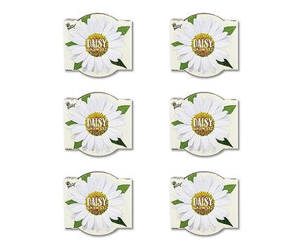 BUZZY Seeds Daisy Daydream Grow Kit 6-Pack, Mini Terracotta Pots, Indoor - color: 6pk Daisy