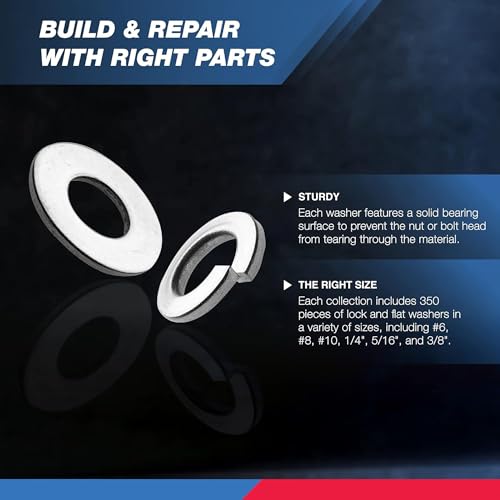 NEIKO 50400A Stainless Steel Lock and Flat Washer Assortment | 350 Piece Set | 12 Different Sizes in Spring Lock and Flat Design | Prevent Loose Fasteners - style: Washer