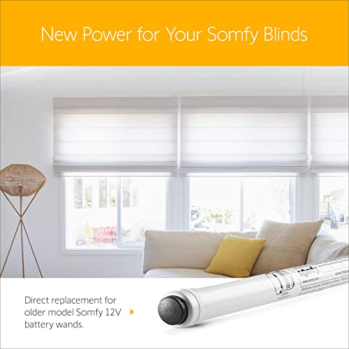 somfy 12V DC Reloadable Battery Tube - Power Blinds & Shades - Replacement Battery Tube - Wall Mount Clips Included - #9018685 - size: Pack of 1