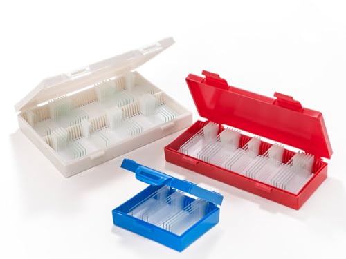 Caplugs Evergreen 258-6025-W30 Heavy-Duty Slide Storage Boxes, White