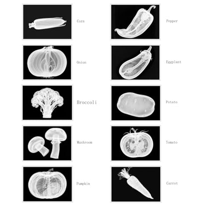 Vegetable, Fruit and Plant X-Rays, Set of 10, Simulation Specimen, Science Experiment Material for Kindergarten, Light Table, Montessori & Reggio-Inspired (Vegetables)