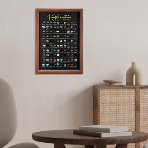 Doublefill 100 Pcs Natural Mineral Specimen Shadow Box, Real Rocks Crystals