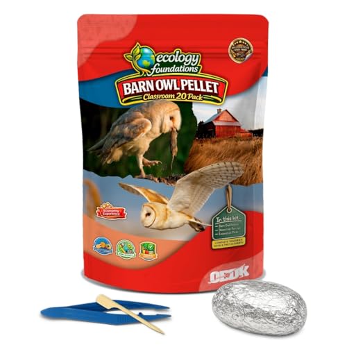 Barn Owl Pellets for Dissection for Classrooms, Small 20-Pack Kit by OBDK - size: Small (1.0 to 1.5 inches)