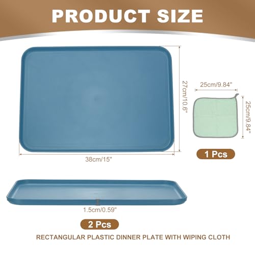 PATIKIL 15x10.6 Plastic Tray, 2 Pack Rectangular Plates Food Tray Wheat Plates Dishes Reusable Dessert Plate Trays with Cloth for Cake Fruits Salad Cupcake Steak Serving Dark Blue - color: Dark Blue, size: L(15"x10.6")